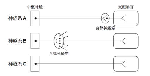 解説画像